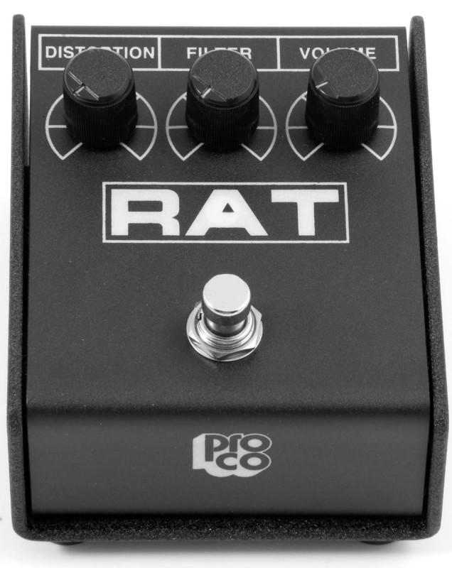 Rat 2