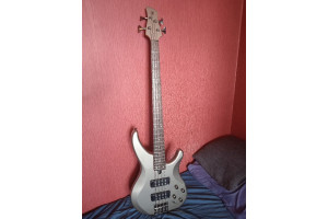 BASSE TRBX304