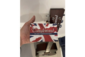 Guitare folk acoustique TG060 orchestra crossroad