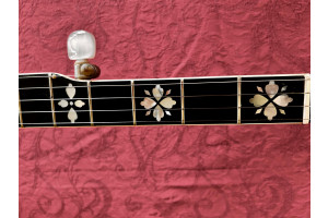 Banjo Gibson Earl Scruggs Standard