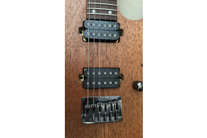 RG421