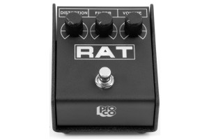 Rat 2