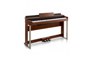 DDP-200 Piano Numérique