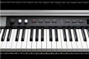 Piano numérique CUP-P1 BP