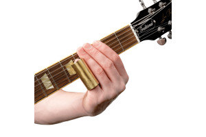 Guitare slide rich robinson signature