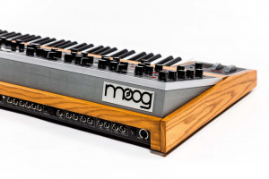 Moog One 8v