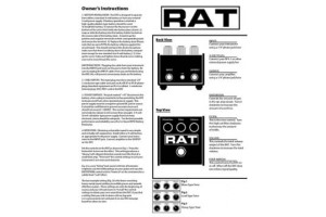 Rat 2