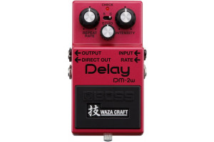 DM-2W Waza Craft - pédale delay