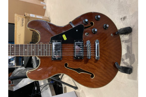 Guitare Aria pro II