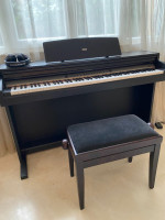 Concert C340