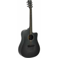 Guitare Acoustique QGA-101 BKC